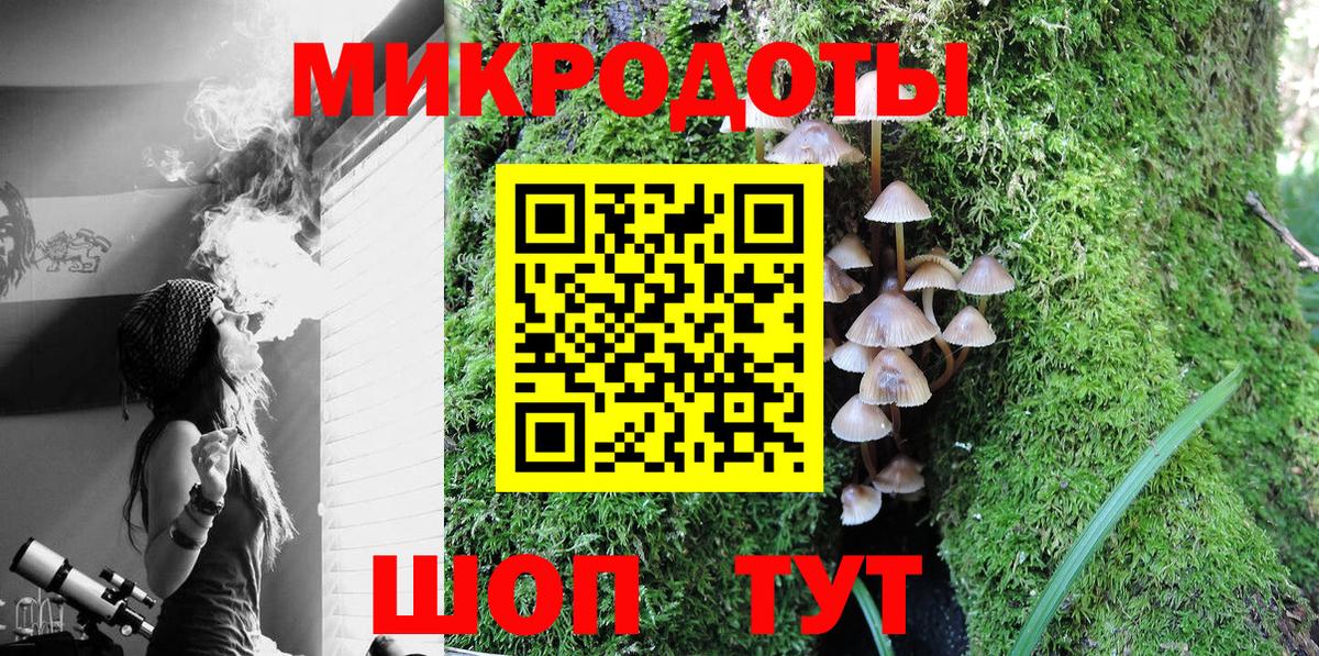 Псилоцибиновые грибы мицелий Великий Новгород