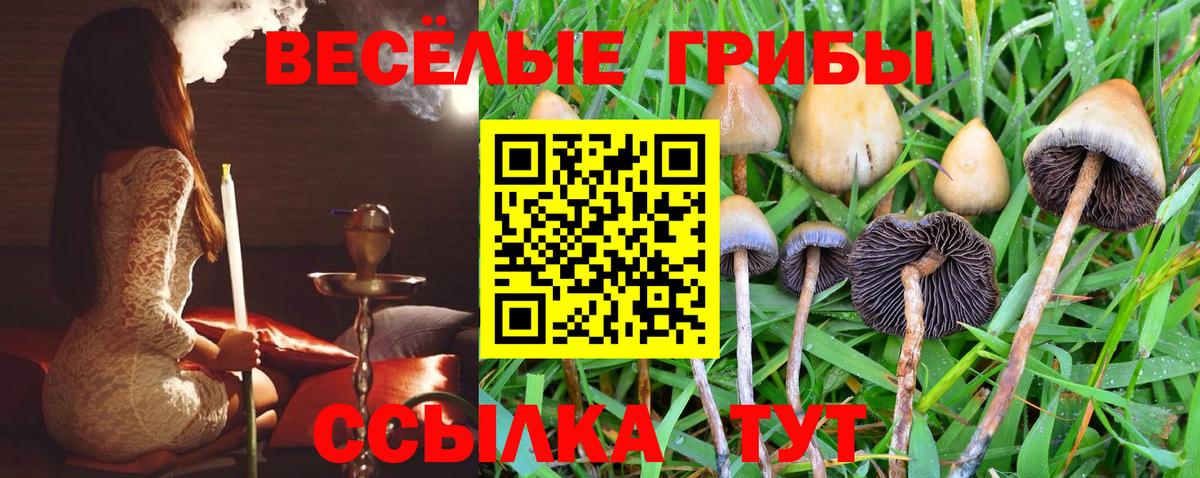 Псилоцибиновые грибы ЛСД  Галлюциногенные грибы GOLDEN TEACHER  Великий Новгород  Вход с VPN 
